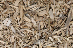 biomass boilers Mansewood